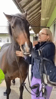 Pony Pulls Owner in for Adorable Embrace