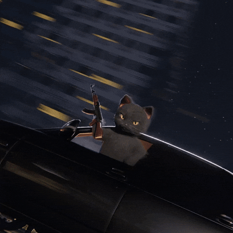 Dance Cat GIF