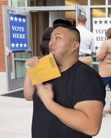 Election Voting GIF