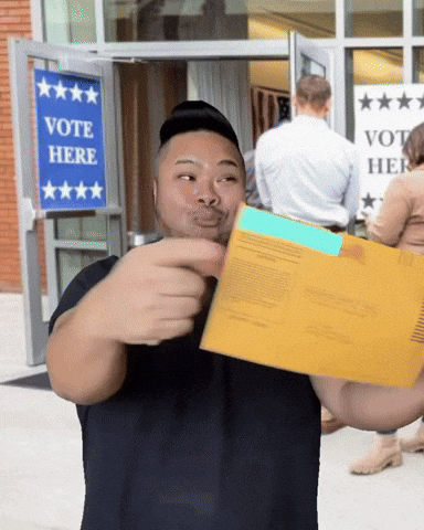 Election Voting GIF