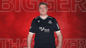 Karlsruher Sc Cheering GIF by Bundesliga