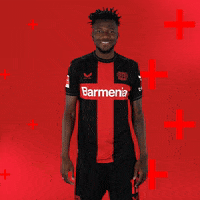 Bayer 04 Love GIF by Bayer 04 Leverkusen