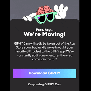 warrenwoodhouse loop looped warrenwoodhouse GIF