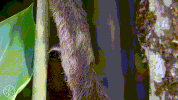 handjob feeling GIF