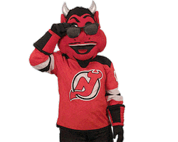 Ice Hockey Sticker by NHL