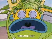 rockos modern life nicksplat GIF