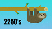 Fashion Sloth GIF by BuzzFeed