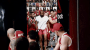 the ultimate fighter ufc GIF