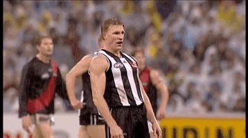 celebrates nathan buckley GIF by CollingwoodFC