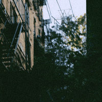 New York Mood GIF by carla grace