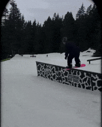 blastinsebastian snowboarding seabass blastinsebastian GIF