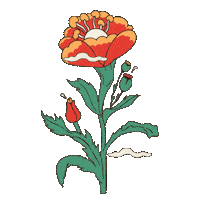 Sxsj Sticker by Bunkhouse Group