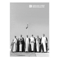 Uae National Day Sticker by Emirates Islamic