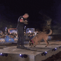 Dog GIF by A&E