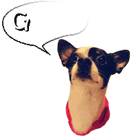 Dog Wow Sticker by Pásalo Chancho