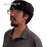 19 Damage Sticker
