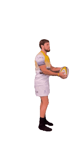 rugbybrasil giphyupload sport brasil rugby Sticker