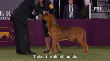 Prized Tracking Instinct