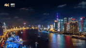 shang hai GIF