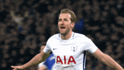 London Football GIF by Tottenham Hotspur