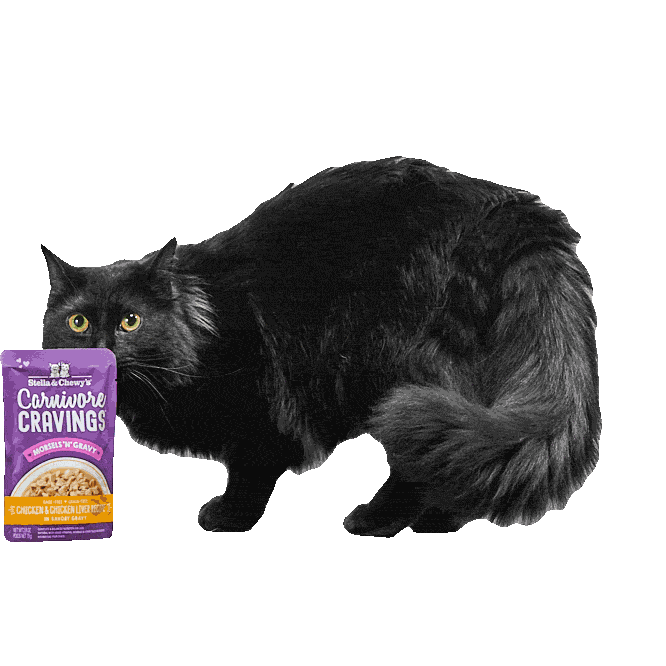 Shocked Pet Food Sticker by Stella and Chewy's