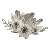 Black And White Flower Sticker by Annabel Gutherz