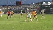Caitlin Foord Goal GIF by Football Australia
