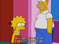 homer simpson episode 3 GIF