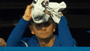Blue Jays Baseball GIF by Toronto Blue Jays