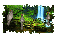 Forest Trees Sticker