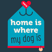 Cat Love GIF by MeraPetfood