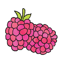 Pink Vegan Sticker by Hippie Organics