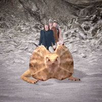 wtf confused GIF by Cool 3D World