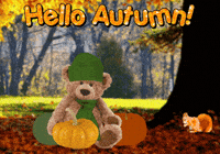 Trick Or Treat Halloween GIF