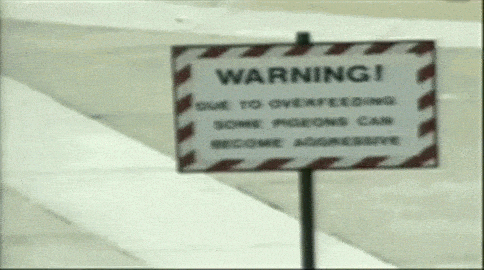 Due GIF
