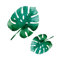 Sticker by Yves Rocher