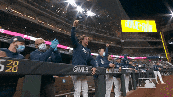 Screaming Lets Go GIF by MLB
