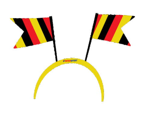 World Cup Football Sticker by Intersport