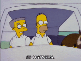 homer simpson episode 20 GIF