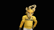 GIF by Venados FC