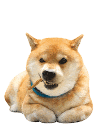 Shiba Maru Sticker by marutaro