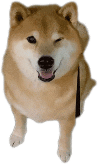 marutaro shiba shibainu marutaro shibainumaru Sticker