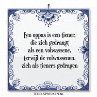 Nl Spreuk GIF by Tegelspreuken.nl