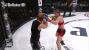 GIF by Bellator