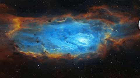 Space Bears GIF
