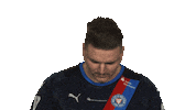 Happy Holstein Kiel Sticker by Bundesliga