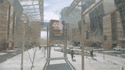 VisitPhoenix arizona phoenix downtownphoenix visit phoenix GIF
