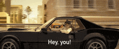 Hey You Hello GIF by TheBadGuysMovie