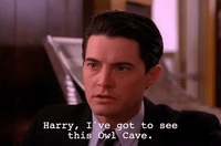 season 2 GIF by Twin Peaks on Showtime