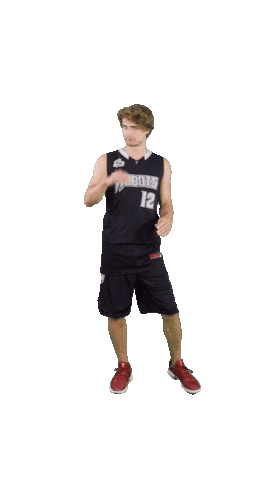 acslsports basketball now call robots Sticker